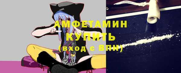 твердый Арсеньев