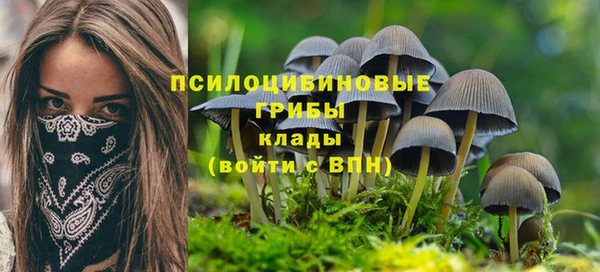 скорость Аркадак