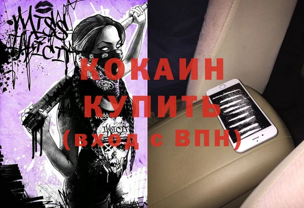 твердый Арсеньев