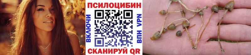 Псилоцибиновые грибы прущие грибы  Купить  Калачинск 